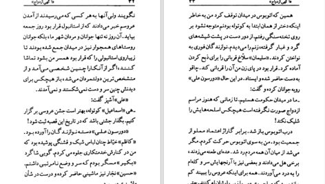دانلود پی دی اف کتاب آگهی ازدواج عزیز نسین PDF