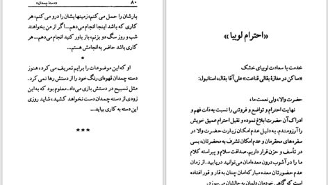 دانلود پی دی اف کتاب آگهی ازدواج عزیز نسین PDF