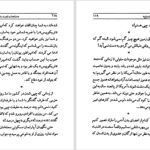 دانلود پی دی اف کتاب آگهی ازدواج عزیز نسین PDF