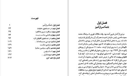 دانلود پی دی اف کتاب بیست سال جاسوسی در اسرائیل صالح مرسی صالح PDF