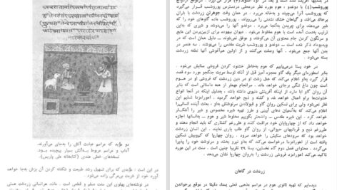 دانلود پی دی اف کتاب ایران باستان م. موله PDF