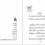 دانلود پی دی اف کتاب دیوان فخری هروی احمد کرمی PDF