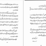 دانلود پی دی اف کتاب دیوان فخری هروی احمد کرمی PDF