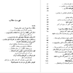 دانلود پی دی اف کتاب فاتح هرات ناصر نجمی PDF