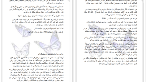 دانلود پی دی اف کتاب دزد بوسه ال جی شن PDF