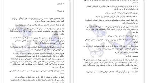 دانلود پی دی اف کتاب دزد بوسه ال جی شن PDF