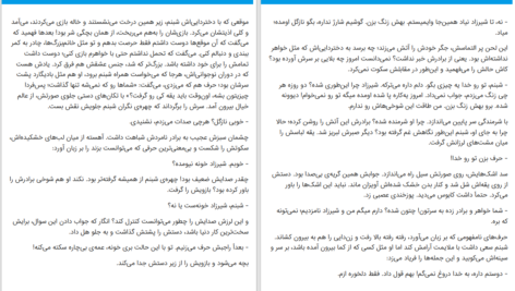 دانلود پی دی اف کتاب شوالی برفی آلیس شرودر PDF
