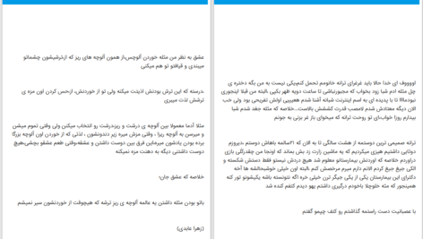 دانلود پی دی اف کتاب دیوانه و دلبر زهرا عابدی PDF