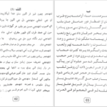 دانلود پی دی اف کتاب دیوان منهاج الحقیقت فقیر قادر بخش بیدل PDF
