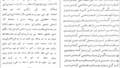 دانلود پی دی اف کتاب دیوان منهاج الحقیقت فقیر قادر بخش بیدل PDF
