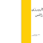 دانلود پی دی اف کتاب درسنامه کارورزی طب اورزانس PDF