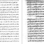 دانلود پی دی اف کتاب کنزالعلوم جلد دوم PDF