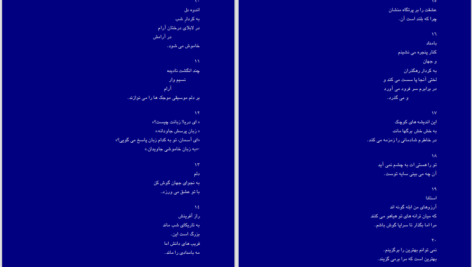 دانلود پی دی اف کتاب مرغان آواره رابیندرانات تاگور PDF
