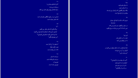 دانلود پی دی اف کتاب مرغان آواره رابیندرانات تاگور PDF