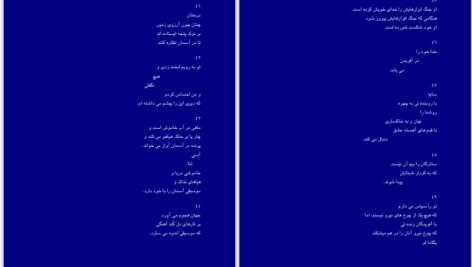 دانلود پی دی اف کتاب مرغان آواره رابیندرانات تاگور PDF