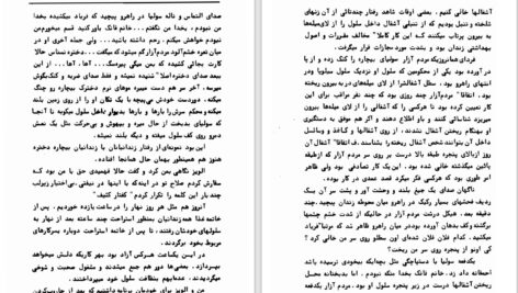 دانلود پی دی اف کتاب زندان زنان وین سنت ج بارنز PDF