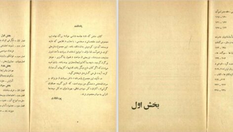 دانلود پی دی اف کتاب جامعه شناسی عوام نصرالله پورافکاری PDF