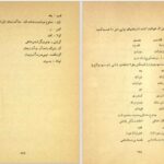 دانلود پی دی اف کتاب جامعه شناسی عوام نصرالله پورافکاری PDF