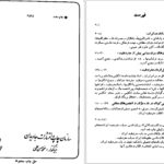 دانلود پی دی اف کتاب انجمن های سرّی در انقلاب مشروطیت اسماعیل رائین PDF