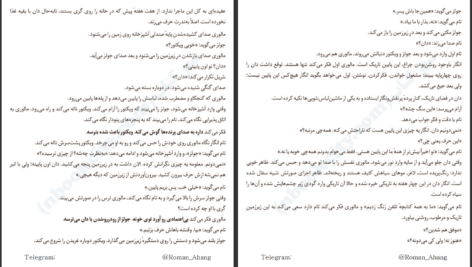 دانلود پی دی اف کتاب جعبه پرنده جاش ملرمن PDF