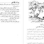 دانلود پی دی اف کتاب پسران شکارچی توماس مین رید PDF