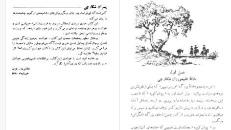 دانلود پی دی اف کتاب پسران شکارچی توماس مین رید PDF