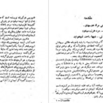 دانلود پی دی اف کتاب معشوقه های من موریس دوکبرا PDF