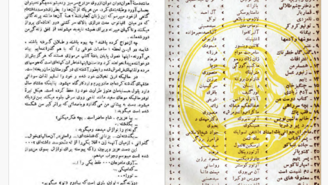 دانلود پی دی اف کتاب معشوقه های من موریس دوکبرا PDF
