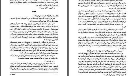 دانلود پی دی اف کتاب آدولف هر دو زندگی اریک امانوئل اشمیت PDF