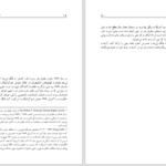 دانلود پی دی اف کتاب حقوق بشر در چین فنگ لی جه PDF