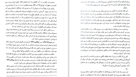 دانلود پی دی اف کتاب سایه روباه جلد‌2 جولی کاگاوا PDF