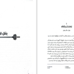 دانلود پی دی اف کتاب سایه روباه جلد 3 جولی کاگاوا PDF