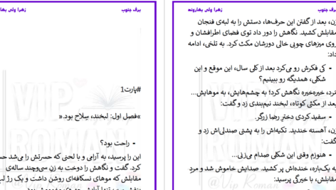 دانلود پی دی اف کتاب برف جنوب زهرا ولی بهاروند PDF
