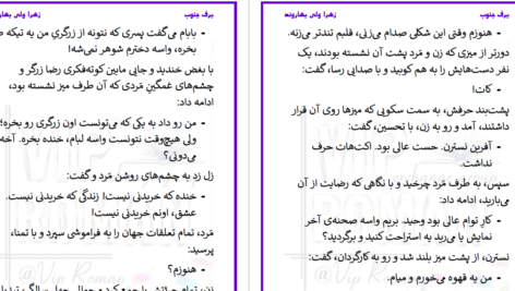 دانلود پی دی اف کتاب برف جنوب زهرا ولی بهاروند PDF