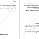 دانلود پی دی اف کتاب شعله‌ی آهنین جلد 2 سرلا لینوارت PDF