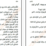 دانلود پی دی اف کتاب سایه راز.س PDF