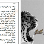 دانلود پی دی اف کتاب سایه راز.س PDF