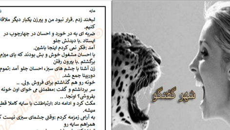 دانلود پی دی اف کتاب سایه راز.س PDF
