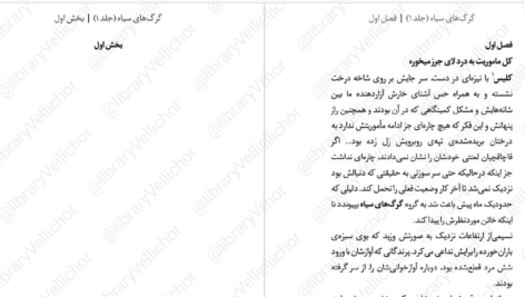 دانلود پی دی اف کتاب گرگ های سیاه 1 کیت الیوت PDF