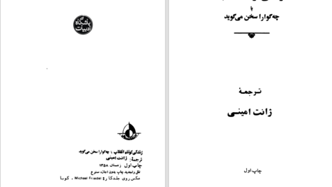 دانلود پی دی اف کتاب زندگی کوتاه انقلاب PDF