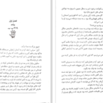 دانلود پی دی اف کتاب مرد محروز جلد اول پیتر وی برت PDF