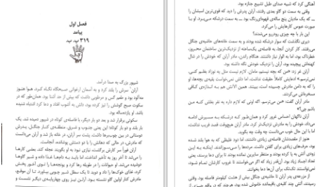 دانلود پی دی اف کتاب مرد محروز جلد اول پیتر وی برت PDF