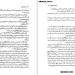 دانلود پی دی اف کتاب شهری از برنج شنون آ چاکرابورتی PDF
