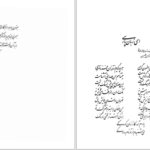 دانلود پی دی اف کتاب تاریخ هشت هزار سال شعر ایرانی پارسی رکن الدین همایونفرخ PDF