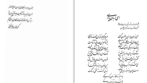 دانلود پی دی اف کتاب تاریخ هشت هزار سال شعر ایرانی پارسی رکن الدین همایونفرخ PDF