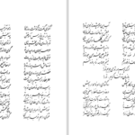دانلود پی دی اف کتاب تاریخ هشت هزار سال شعر ایرانی پارسی رکن الدین همایونفرخ PDF