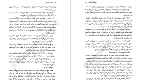 دانلود پی دی اف کتاب قلمرویی از مس جلد دوم شنون آ چاکرابورتی PDF