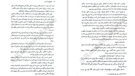 دانلود پی دی اف کتاب قلمرویی از مس جلد دوم شنون آ چاکرابورتی PDF
