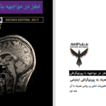 دانلود پی دی اف کتاب مغز در مواجهه با پورنوگرافی جلد اول گری ویلسون PDF