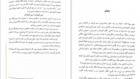 دانلود پی دی اف کتاب شهر و دیوارهای نامطمئنش جلد دوم هاروکی موراکامی PDF